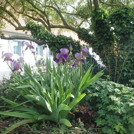 Au Rêve En Somme Hautvillers-Ouville