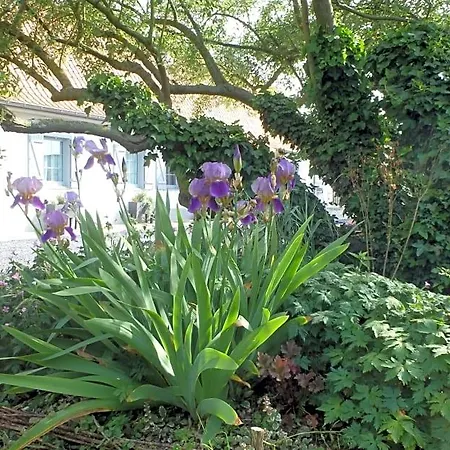 Au Reve En Somme Bed & Breakfast Hautvillers-Ouville